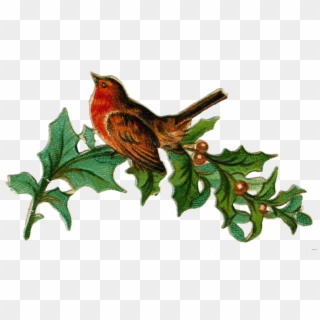 Birds Nest Clipart Christmas - Victorian Christmas Clipart Png, Transparent Png
