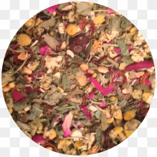 Antea-aging - Autumn, HD Png Download