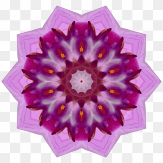 This Free Icons Png Design Of Orchid Kaleidoscope 4 - Floral Design, Transparent Png