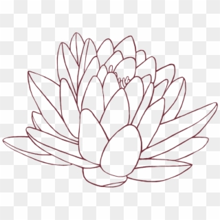 Lineart Flower - Lotus Lineart Png, Transparent Png