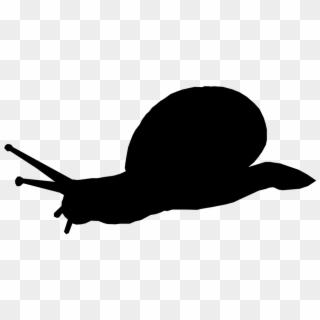 Silhouette Animal - Snail Silhouette Transparent Background, HD Png Download