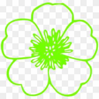 Lime Green Buttercup Png, Transparent Png