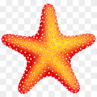 Free Png Starfish Png Images Transparent - Starfish Png Transparent, Png Download