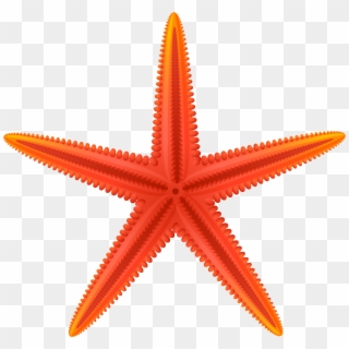 Red Starfish Png Clip Art, Transparent Png
