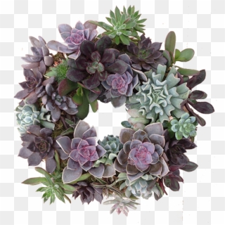 Succulent-wreath - Succulent Wreath Artificial, HD Png Download