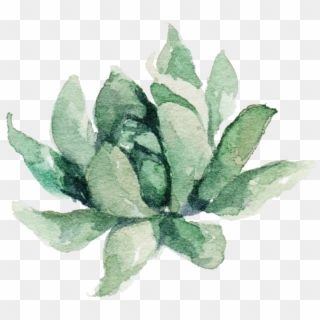 Clipart Free Transparent Succulent Watercolor - Water Color Aesthetic Plants Png, Png Download