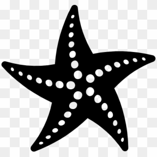Png Starfish Black And White - Starfish Vector, Transparent Png