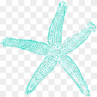 Download For Free Starfish Png In High Resolution - Blue Starfish Clipart, Transparent Png