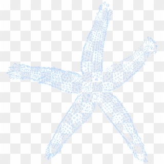 Maehr Blue Starfish Svg Clip Arts 564 X 599 Px, HD Png Download
