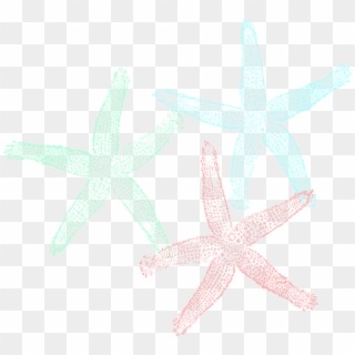 Original Png Clip Art File Starfish Svg Images Downloading, Transparent Png