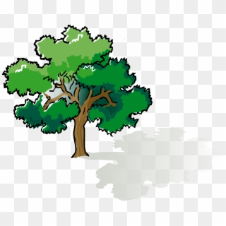 This Free Icons Png Design Of Colored Oak Tree, Transparent Png