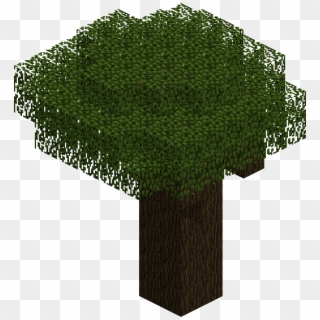 Oak Tree Png PNG Transparent For Free Download - PngFind