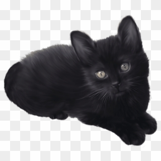 Free Png Black Kitten Png Images Transparent - Black Kitten Clip Art, Png Download