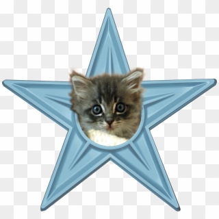 Cute Kitten Barnstar - Kitten Star, HD Png Download