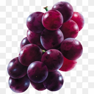 Grapes - Grape Png, Transparent Png