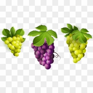Grapes Png, Transparent Png