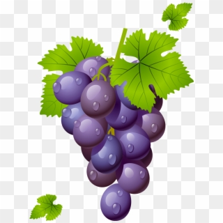 Grapes Png Clipart Png M 1434276911 Clipart Of - Grapes Clipart Png, Transparent Png