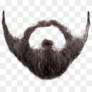 Beard Png PNG Transparent For Free Download - PngFind
