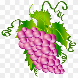 Banner Freeuse Stock Grappe - Communion Grapes, HD Png Download