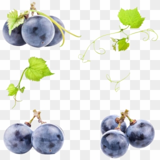 Black Grapes Png Photo - Grape, Transparent Png