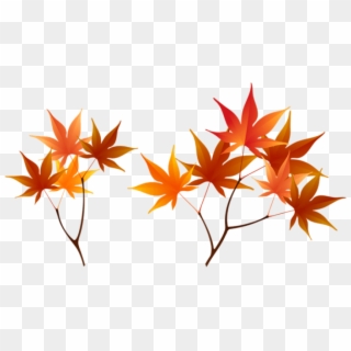 Download Fall Branches Clipart Png Photo - Maple Leaf, Transparent Png