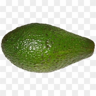 File - Avocado - Avocado Png, Transparent Png
