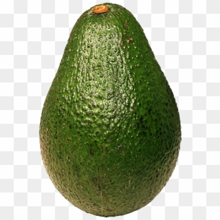 Abacatepng, Transparent Png