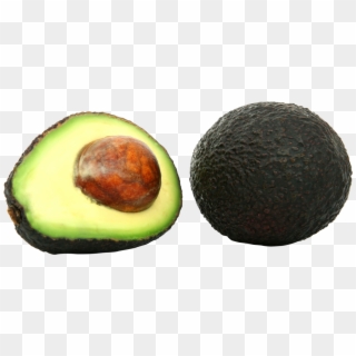 Transparent Png
