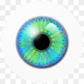Eyeball Png - Portable Network Graphics, Transparent Png