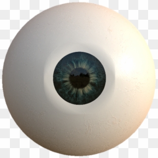 Eyeball, HD Png Download
