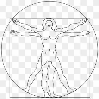 Drawing Leg Leonardo - Vitruvian Man Transparent Background, HD Png Download