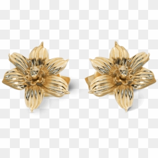 Yellow Gold Bermudiana Flower Earrings - Earrings, HD Png Download