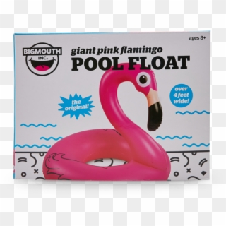 Giant Pink Flamingo Pool Float - Greater Flamingo, HD Png Download