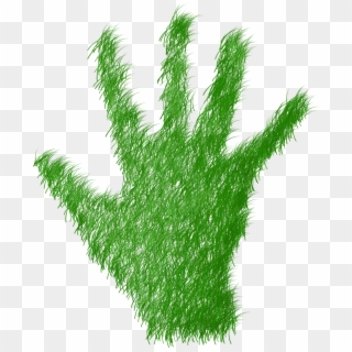 Green Grass Prato - Hand, HD Png Download