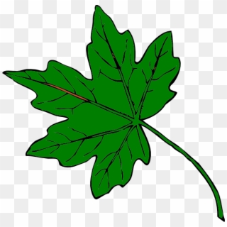 Green Maple Leaf Clip Art At Clkercom Vector Online - Clip Art Green Leaf, HD Png Download