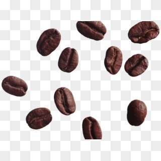 Coffee Beans Png Transparent Images - Transparent Background Coffee Beans Png, Png Download