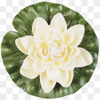 Vinilo Dormitorio Flor De Loto Yoga - Japanese Camellia, HD Png Download
