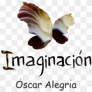 Imaginación - Óscar Alegría - Love (ron Reeser & Dan Saez Extended Mix), HD Png Download