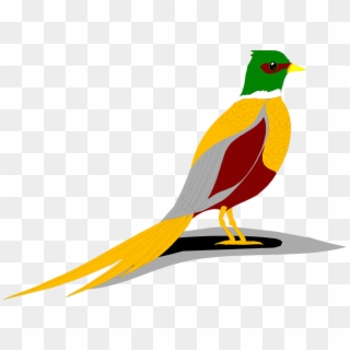Free Stock Photos - Ring Necked Pheasant Clip Art, HD Png Download
