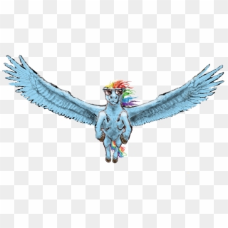 Pwnyville, Flying, Horse, Rainbow Dash, Realistic, - Illustration, HD Png Download