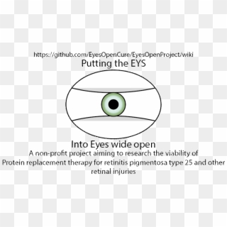 9620598 - Circle, HD Png Download