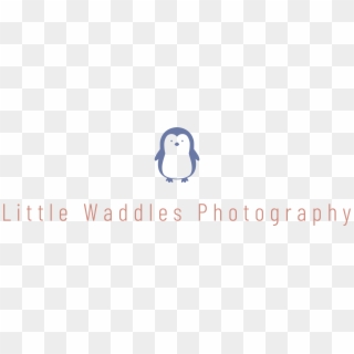 Adã©lie Penguin, HD Png Download