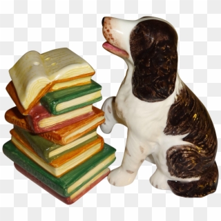 Springer Spaniel With Stacked Books Salt And Pepper, HD Png Download