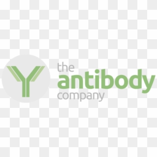 The Antibody Company Logo - Graphic Design, HD Png Download