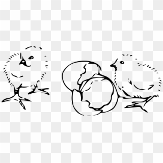 This Free Icons Png Design Of Chicks Hatching - Black And White Chick Clip Art, Transparent Png
