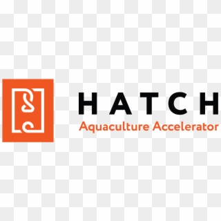 Hatch Is The World's First Accelerator Program Focused - Graphics, HD Png Download
