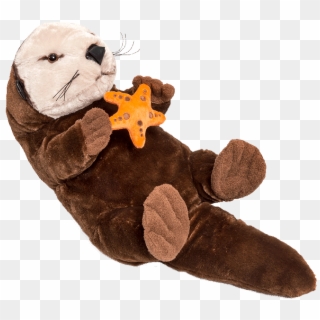 Sea Otter With Sea Star From Monterey Bay - Teddy Bear, HD Png Download