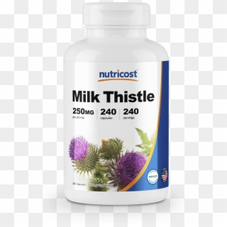 Nutricost Milk Thistle 250mg - Nutricost, HD Png Download