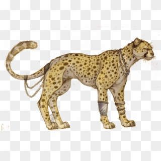 Cheetah Png - Anime Cheetahs, Transparent Png