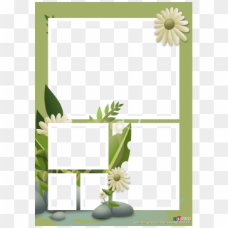 Fleur - Daisy, HD Png Download